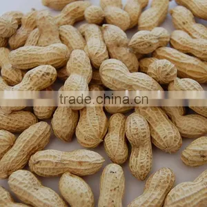 Roasted Groundnut In Shell (Round Size) thumbnail-1