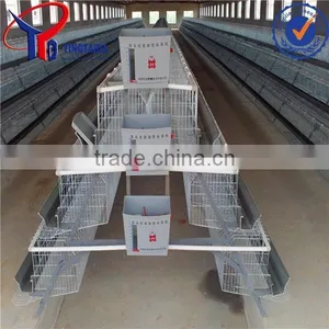 Anping Layer Chicken and Broiler Chicken Cage Factory thumbnail-1