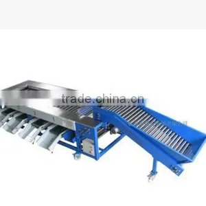 Garlic /Vegetable and Fruit Cleaning and Grading/Sorting Machine thumbnail-3