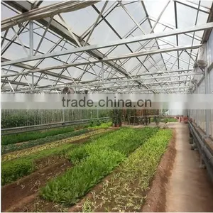 Mini Plastic Greenhouse for Sale, Used Greenhouse Frames for Sale thumbnail-1