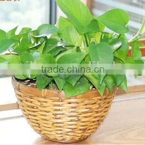 Handmade Natural Willow Wicker Plastic Lined Plant Basket Flower Plant Pots thumbnail-1