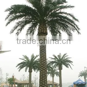 Hot Sale Artificial Date Palm Tree Fiberglass Palm Tree Sale Fake Tree thumbnail-2