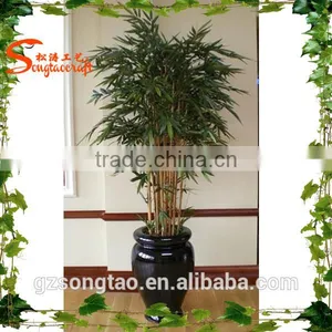 Realistic Mini Bonsai Tree Pot Culture Wholesale thumbnail-4