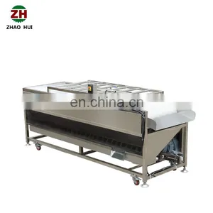 Industrial Automatic Plum Cherry Peach Berry Washer Onion Carrot Chili Pepper Vegetable Brush Roller Washing Machine thumbnail-7