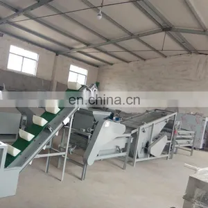 Automatic Almond Huller Machine Line for Sale thumbnail-6