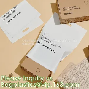 BIODEGRADABLE MAILER, ENVELOPES, STEB BAGS, TEMPER EVIDENT, BANK SUPPLIES, SECURITY, SAFE, DEPOSIT thumbnail-3