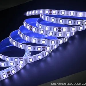 Flexible 5050 Led Strip Light High Brightness IP65 IP20 5M 120 Led per Meter Factory Sales thumbnail-2