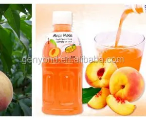 Peach Processing Line Concentration Apricot Production Line Beltline of Fruit Juice thumbnail-2