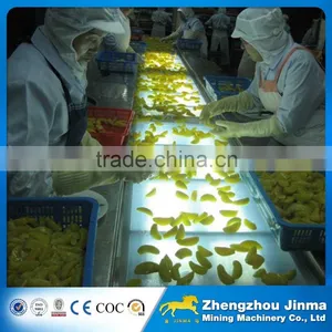 High Quality Fruit Belt Conveyor thumbnail-1