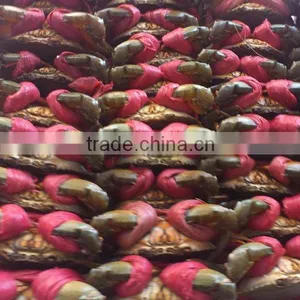 Live Mud Crab (Male, Female, Eggs) thumbnail-5