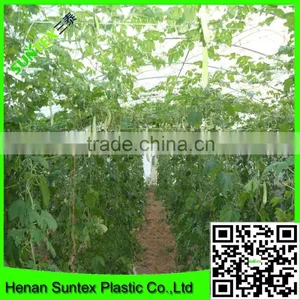 Garden Pea Trellis Netting Garden Support Mesh Net Climbing Plant Support Netting thumbnail-5