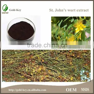 St.John's Wort Extract Powder in Herb Plant Extract thumbnail-2