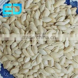 Our Best Shine Skin Pumpkin Seeds 9CM and 11CM thumbnail-1