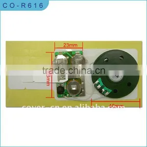Greeting Card Sound Module thumbnail-2