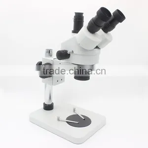High Reliable of FEITA FSM45T1 Microscopes /Stereo Microscope/microscope thumbnail-2