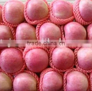 Fragrant Qinguan Apple Fruit thumbnail-1