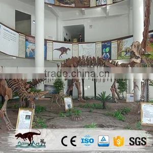Museum Standard High Quality Dinosaur Skeleton thumbnail-1
