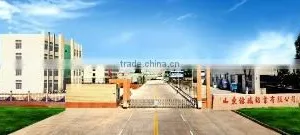 Shandong Yisheng Aluminum Co., Ltd. company overview - view 1 thumbnail