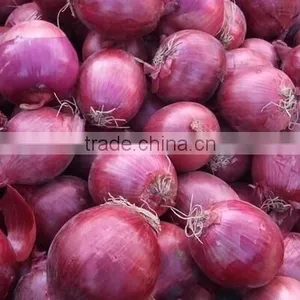 Vegetable Fruit Sorter/fruit Vegetable Sorting Machine/vegetable Fruit Picking Machine thumbnail-3