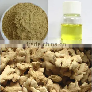 Dried Ginger thumbnail-3