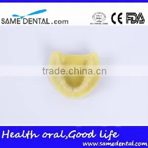 Dental Implant Practice Model (no Gum) Education School Teaching Models thumbnail-2