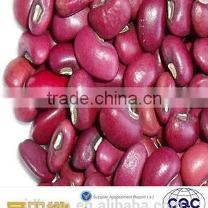 Crop 2014 Red Cowpea Beans thumbnail-2