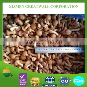 Frozen Nameko Mushroom From China Food Supplier thumbnail-1