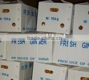 2012 Fresh Hot Ginger for Sales thumbnail-1