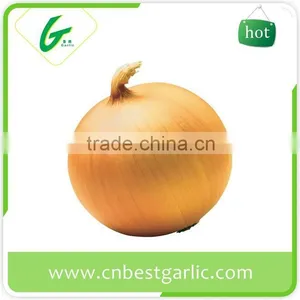 Importers of Dehydrated Fresh Onion thumbnail-6