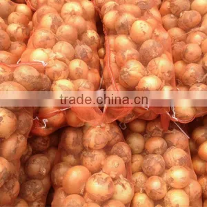 Fresh Onion Export to Dubai thumbnail-3