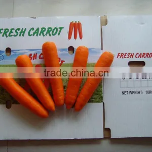 Best Price Carrot Buyer thumbnail-2