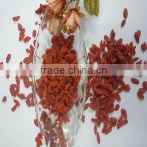 Goji Berry thumbnail-3
