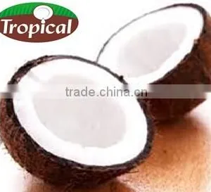 Virgin Coconut Centrifuge thumbnail-1