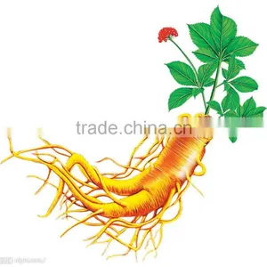 High Quality GMP&KOF-Kosher Ginseng Root Extract Ginsenoside thumbnail-2