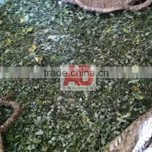 Organic Moringa Seeds/ Moringa Tea Cut Leaves/ Moringa Powder thumbnail-5