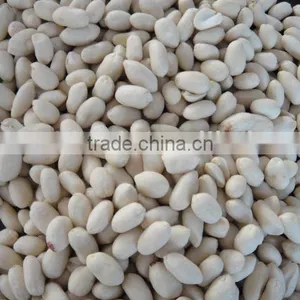 Blanched Groundnut Kernels thumbnail-1