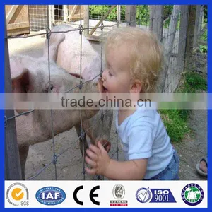 Factory Direct Deer Fencing Sale( Anping Factory ) thumbnail-1