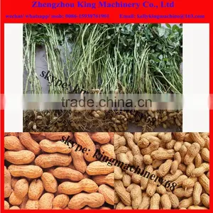 Automatically Exporting Peanut/ Groundnut Collector Machine 0086-15938761901 thumbnail-6