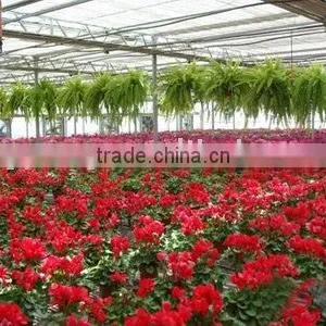 Flower Growing Polycarbonate Greenhouse thumbnail-1