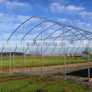 Gothic High Poly Tunnel Greenhouse thumbnail-2