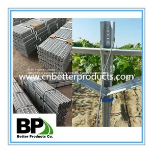 Steel u Channel Sign Post for Vineyard thumbnail-1