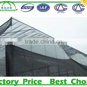 High Tunnel Plastic Agricultural Greenhouses for Sale thumbnail-4