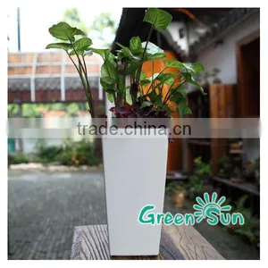 Flower Pot Plants Planter thumbnail-4