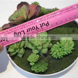 Brand Name Plastic Small Multicapacity Process Artificial Round Plate Bonsai Decor thumbnail-4