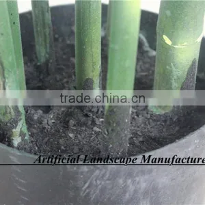 LXY160404 Green Plant Bamboo Bonsai,Artificial Fence Bamboo thumbnail-6