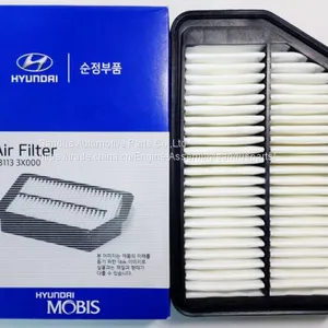 Diesel Engine Parts Air Filter for KIA&Hyundai 28113 3X000 thumbnail-2