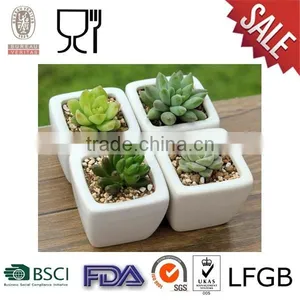 Mini Square Plastic Flower Pot With White Color thumbnail-1