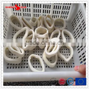 IQF Pacific Squid Rings (Todarodes Pacificus) thumbnail-4