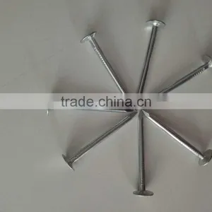 Factory Price Flat Head Clout Nails Zinc Coated Coil Roofing Nails thumbnail-5