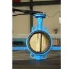Butterfly Valve thumbnail-1